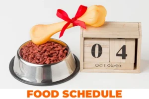 Food Schedule